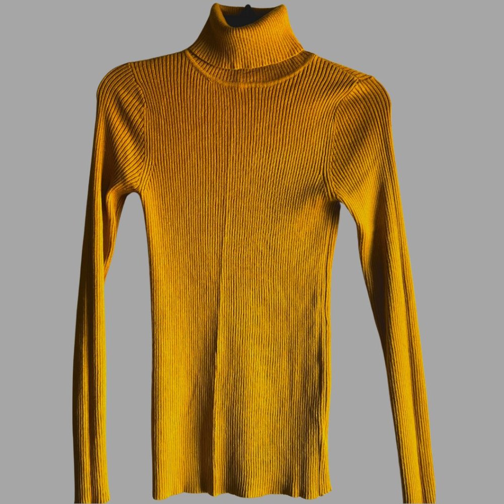 Golden Ribbed Turtleneck (Thin)